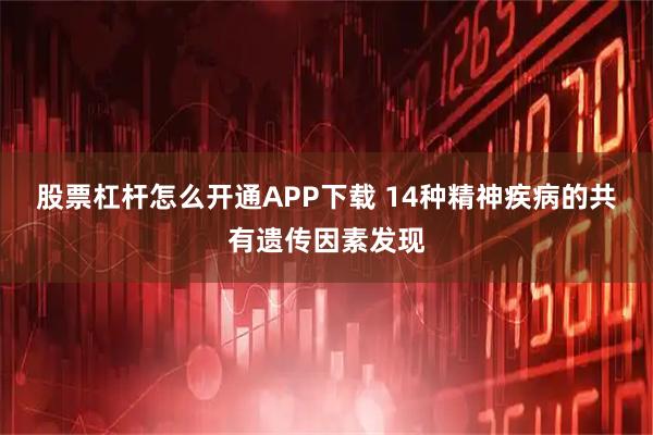 股票杠杆怎么开通APP下载 14种精神疾病的共有遗传因素发现